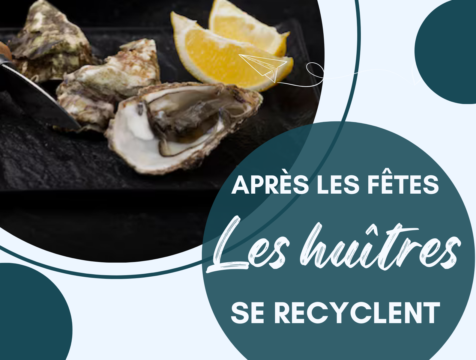 Pendant les fêtes, l’huître se recycle à Plouay !